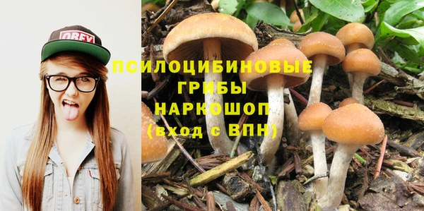 трава Баксан