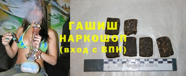 мдпв Богородск