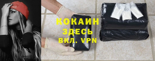 spice Белокуриха